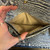NWT Brahmin Leather Wallet 60129-S000587630 View 9