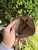 Used coach small Handbag 60067-S000833794 View 7