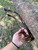 Used Oscar Oscar De La Renta Sunglasses 60102-S000471879 View 5