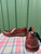 Used Spring Step Clogs 9.5 60084-S000954050 View 2