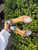 Used jimmy choo High Heels 9 60067-S000834228 View 5