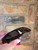 Used Prada Sunglasses 60067-S000834238 View 5