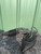 Used Paige Sandals 9 60084-S000954825 View 3
