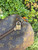 Used Louis Vuitton duffle Xlarge Handbag 60067-S000834857 View 5