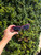 Used Burberry Sunglasses 60067-S000834951 View 1
