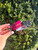 Used Miumiu purple hue thin sunglasses 60067-S000835050 View 1
