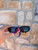 Used Miumiu black square sunglasses 60067-S000835058 View 1