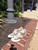 Used Coach Casual Shoes 8.5 60067-S000835170 View 1