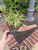 Used Gucci Flats 10.5 60067-S000835869 View 6