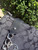 Used Coach Large Leather Handbag 60067-S000836047 View 5
