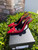 Used Versace High Heels 9 60031-S000869085 View 2