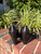 Used Chanel Mary jane High Heels 7 60067-S000836196 View 3