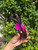 Used Miu Miu Sunglasses 60067-S000836783 View 2