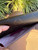 Used Louis Vuitton Wallet  60067-S000836985 View 6