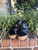 Used Jimmy Choo High Heels 9 60067-S000837017 View 4
