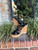 Used Jimmy Choo High Heels 9 60067-S000837017 View 2