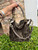 Used Coach Small Handbag 60031-S000870565 View 1