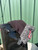 Used Hunter Rain Boots 8 60084-S000959232 View 11