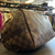 Used Louis Vuitton Speedy 25 Bandouliere Small Leather Handbag 60129-S000592855 View 10
