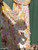 Used Anthropologie Long Dress F XL-16 60084-S000959798 View 2