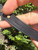 Used Louis Vuitton Bracelet 60067-S000838481 View 8