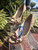 Used Gucci High Heels 8.5 60067-S000838482 View 6