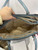 Used Michael Michael Kors Xlarge Leather Handbag 60070-S000655699 View 5
