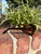 Chimi Sunglasses 60067-S000839117 View 5