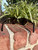 Chimi Sunglasses 60067-S000839117 View 8