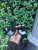 Used MCM Sunglasses 60067-S000839189 View 2