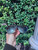Used MCM Sunglasses 60067-S000839189 View 1