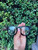Used MCM Sunglasses 60067-S000839189 View 5