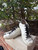 Used golden goose Casual Shoes 6 60067-S000839444 View 1