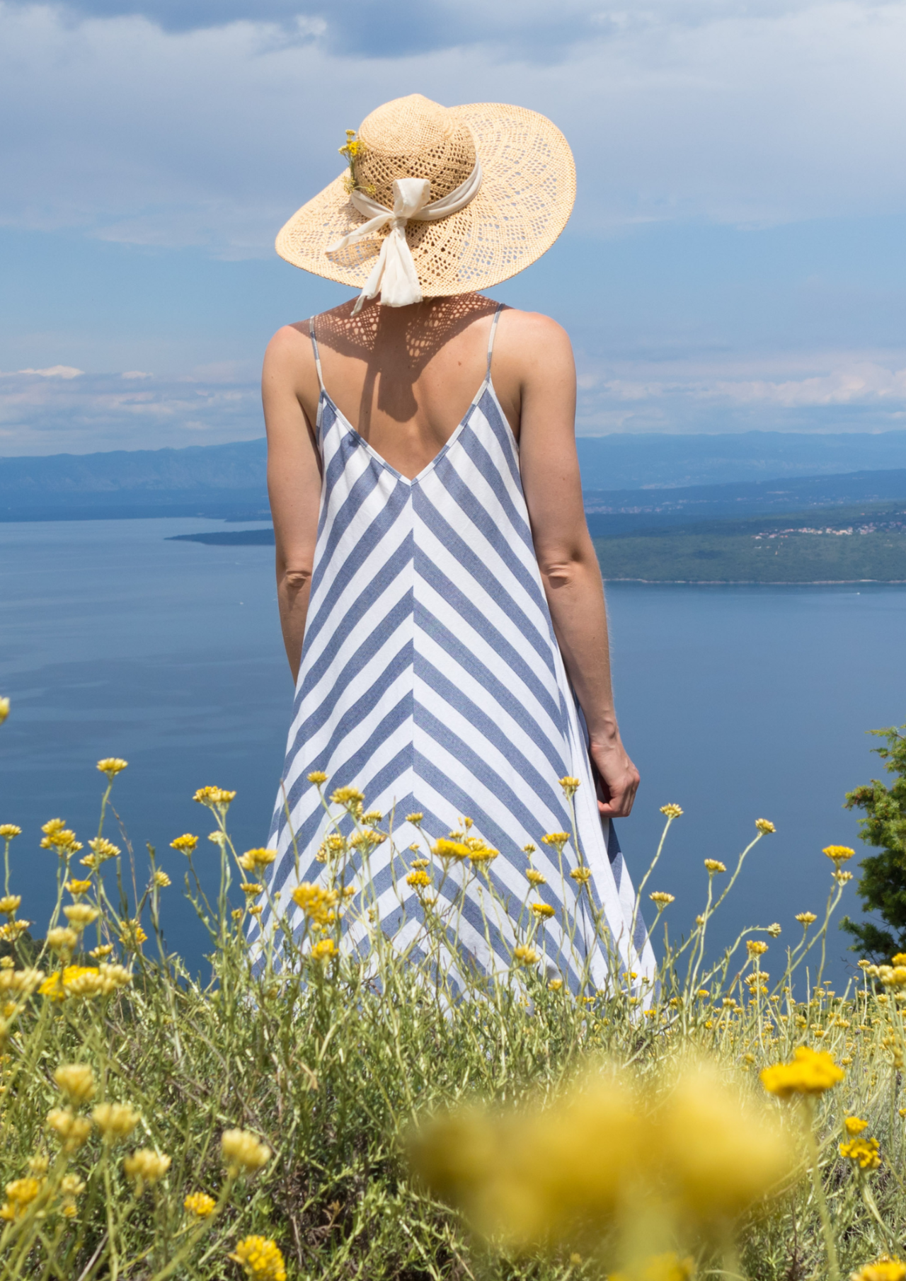 dress picture