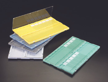 20-place Slide Folder, White, plastic, each