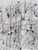 FD Rapid GolgiStain™ Kit (Large)