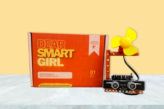 Dear Smart Girl STEM Kit: Mechanical Engineer