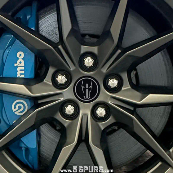 2024-2026 Ford Mustang: Wheel Center Caps