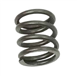 Briggs & Stratton Valve spring x2