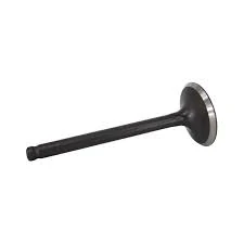 Tillotson Intake Valve 2025 138210144