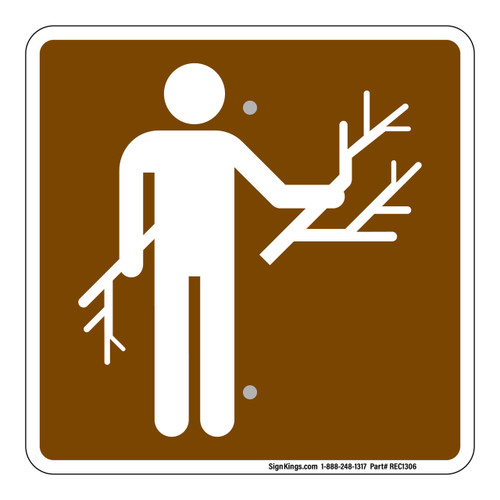 Wood Gathering Camp Fire