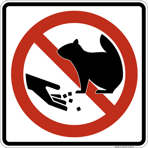 Do Not Feed The Squirrels,  MUTCD Prohibited Activity Sign - Park, Campground & General Rules