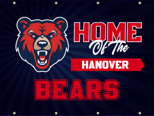 School Spirit - Starburst Theme (Horizontal), Banner