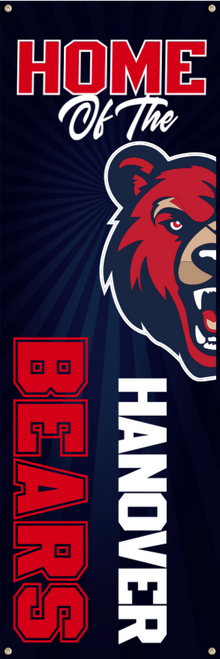 School Spirit - Starburst Theme (Vertical), Banner
