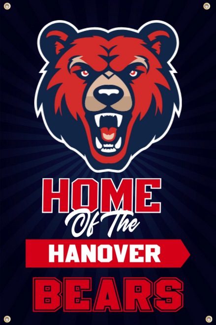 School Spirit - Starburst Theme (Vertical), Banner