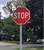 Example of Stop Sign posted