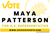 Political Party Flag - Candidate Name, Campaign Sign (Libertarian)