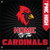 Example of  School Spirit - Starburst Template, Banner