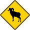 Bighorn Sheep Crossing, Warning Sign