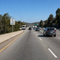 Mandatory Movement Lane Control - Through Only, MUTCD Lane  and Turn Control , R3-12f 30"x36"